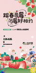 草莓采摘活动