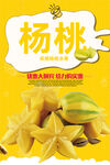 杨桃
