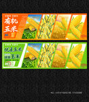 玉米
