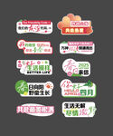 春天手举牌
