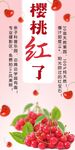 樱桃