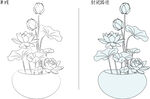 荷花 矢量图