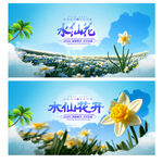 水仙花