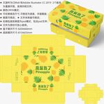 菠萝包装 凤梨礼盒