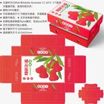 莲雾包装 水果盒子