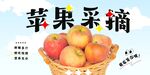 苹果