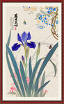 国画兰花