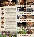食用菌展架