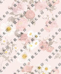 大牌玫瑰花