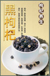 黑枸杞