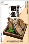 鲍鱼