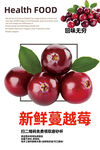 蔓越莓