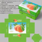 杏子包装 水果盒子