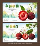 杨梅