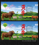草原散养黄牛