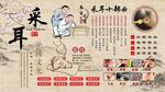 采耳养生背景墙