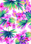 热带花