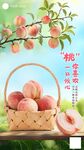 水蜜桃海报