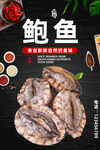 鲍鱼