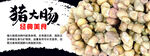 猪大肠
