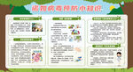 传染病预防宣传栏