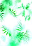 雾气植物贴图
