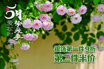 粉色蔷薇花促销海报