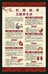 中医养生知识海报
