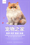 宠物海报