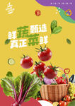 蔬菜海报