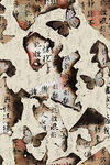 破损古籍书页纹理画面