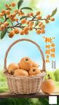 新鲜枇杷 