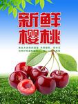 樱桃