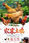 农家土鸡