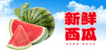 西瓜