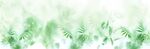 雾气磨砂膜效果绿植贴图