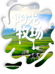 阳光牧场