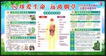 世界无烟日宣传栏