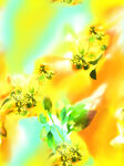 梦幻黄花绿叶艺术画面