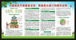 中国居民膳食指南