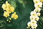 黄白兰花与绿叶背景图