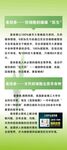 绿色网页设计相关素材展示