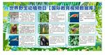 野生植物保护宣传海报