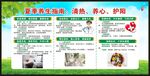 夏季健康教育知识宣传栏