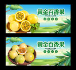 黄金百香果