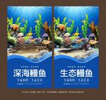 鳗鱼海报