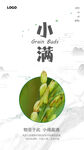 小满