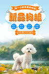 狗粮海报