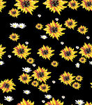 黑色背景上的向日葵图案