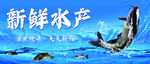 水产灯箱